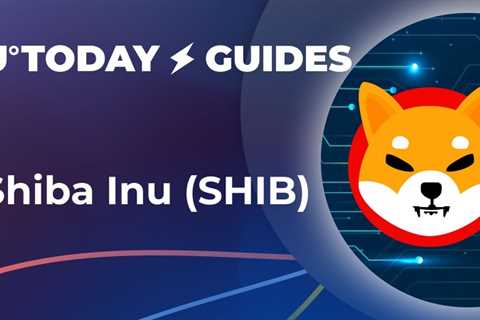 What is Shiba Inu (SHIB) and why is it so popular?