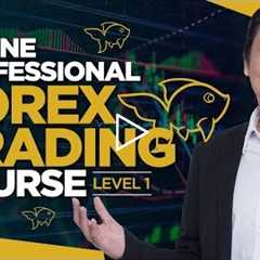 Introducing the Online Professional Forex Trading Course by Adam Khoo