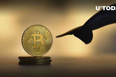 Mystery Bitcoin whale has allotted nearly 5,000 BTC since mid-September