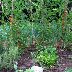 Inflation-Proof Urban Tariff Garden: No Grocery Store Needed