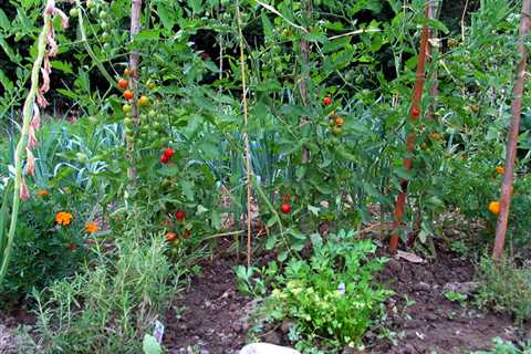 Inflation-Proof Urban Tariff Garden: No Grocery Store Needed