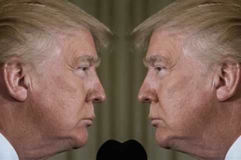 Trump Edition: Everything Everywhere All At Once Explained