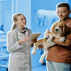 Pet Insurance Coverage for Average Vet Bills Explained