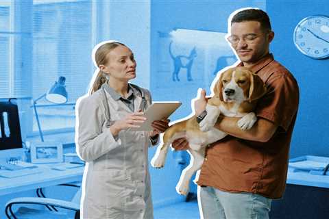 Pet Insurance Coverage for Average Vet Bills Explained
